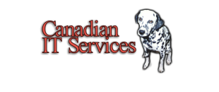 Canadian-IT-services-logo